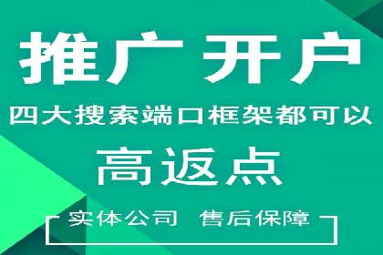 案例解析：托管SEM竞价助力企业腾飞